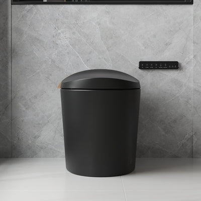 Smart Toilet High Tech Toilet