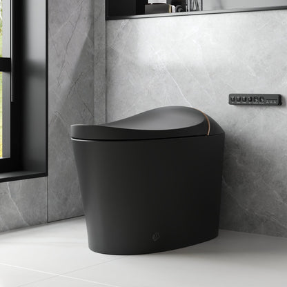 DeerValley DV-1S0160/V1/V3 Tankless Elongated Smart Toilet with Off-Seat Flush/Foot Sensor Flush, Automatic Tankless Toilet with Heated Seat, Warm Water Cleaning, Warm Air dryer