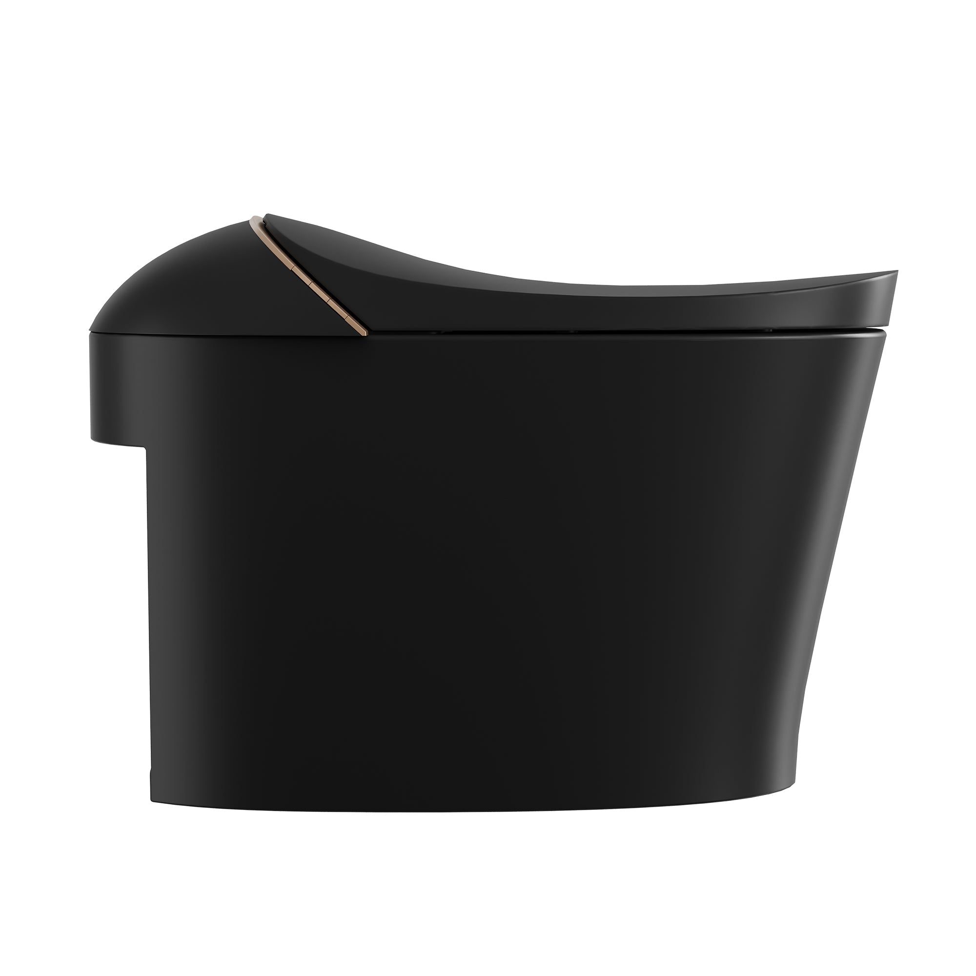 DeerValley DV-1S0160/V1/V3 Tankless Elongated Smart Toilet with Off-Seat Flush/Foot Sensor Flush, Automatic Tankless Toilet with Heated Seat, Warm Water Cleaning, Warm Air dryer