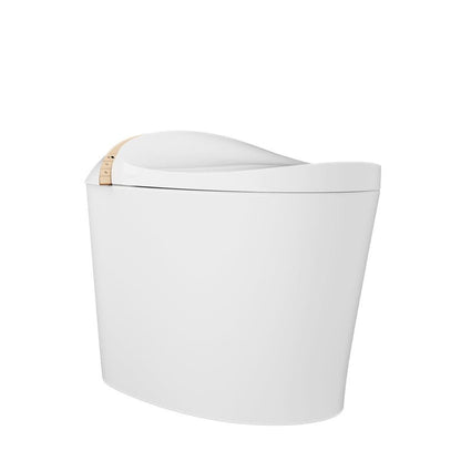 DeerValley DV-1S0160-V3 Premium Tankless Elongated Smart Bidet Toilet with Off-Seat Flush/Foot Sensor Flush, Automatic Tankless Toilet with Heated Seat, Warm Water Cleaning, Warm Air dryer