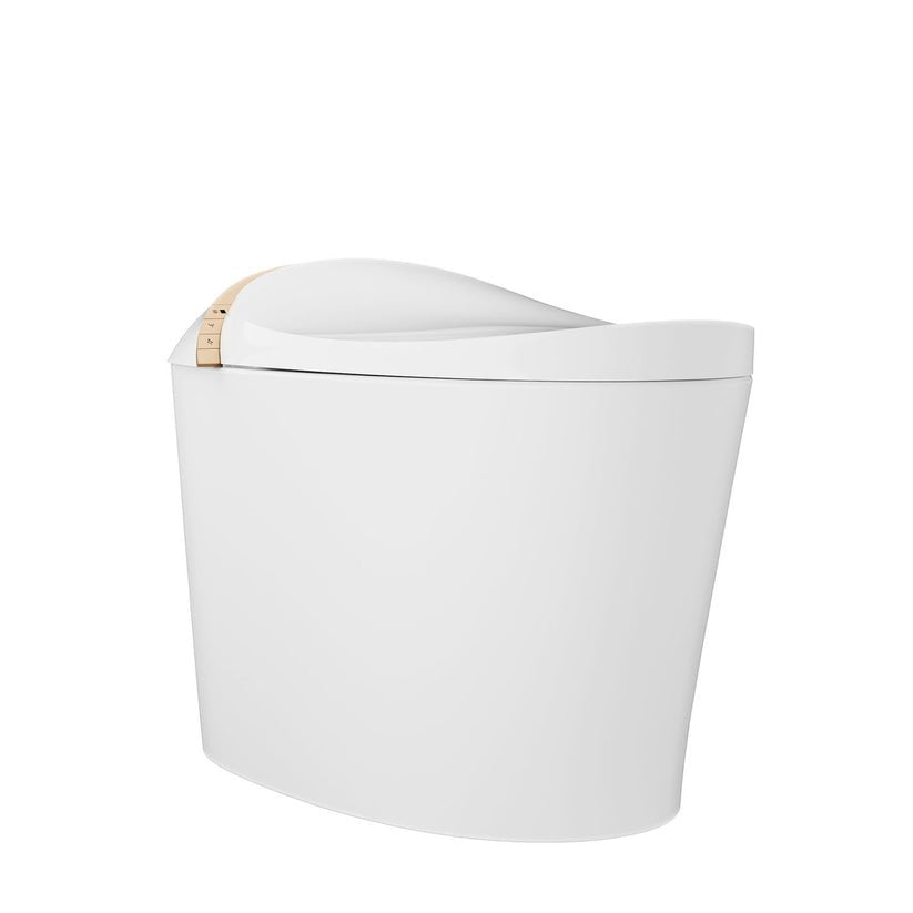 DeerValley DV-1S0160-V3 Premium Tankless Elongated Smart Bidet Toilet with Off-Seat Flush/Foot Sensor Flush, Automatic Tankless Toilet with Heated Seat, Warm Water Cleaning, Warm Air dryer