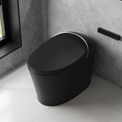 Smart Toilet High Tech Toilet
