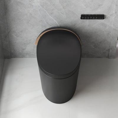 Smart Toilet High Tech Toilet