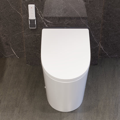 Pre-sale DeerValley DV-1S0289 / DV-1S0289-V3 Modern Tankless Smart Toilet with Bidet with Auto Flush & Foam Shield Technology , Warm Air Dryer, Heated Seat & Night Light (Remote Included)