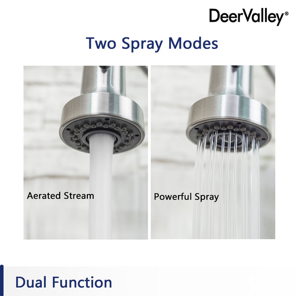 DeerValley Bath Deervalleybath DV-J101SP03 Gleam Dual Functional Side Sprayer