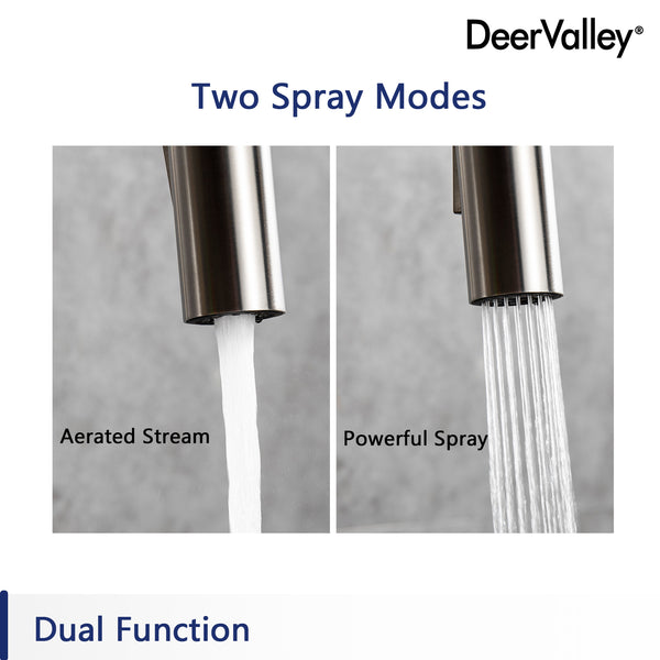 DeerValley Bath Deervalleybath DV-J281SP02 Gleam Dual Functional Side Sprayer